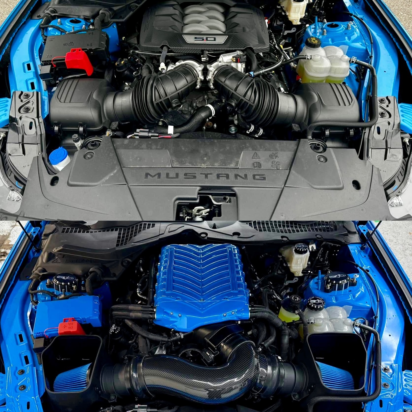 supercharger-maintenance-mustang