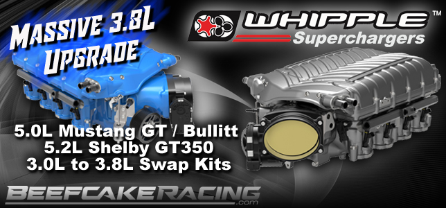 Whipple 3.8L Supercharger Upgrade for Ford 5.0L and 5.2L Mustangs at Beefcake Racing